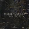 Download track Reveal Your Life