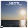 Download track Just A Fool (Radio Edit)