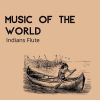 Download track Music Of The World (Indians Flute)