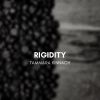 Download track Rigidity