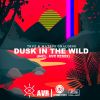 Download track Dusk In The Wild (Extended Mix)