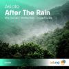 Download track After The Rain