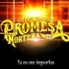 Download track Ya No Me Importas