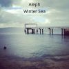 Download track Winter Sea