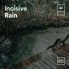 Download track Hard-Hitting Rain