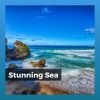 Download track Beautiful Sights To See