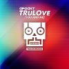 Download track Trulove (You And Me) (Extended Mix)