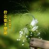 Download track 什么也不想说 (对唱舞曲版伴奏)