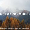 Download track Soothing Peace