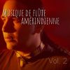 Download track Musique De Flûte Amérindienne