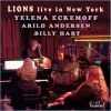 Download track Lions Blues (Live In New York)