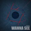 Download track Wanna See