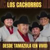 Download track El Pariente (En Vivo)