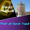 Download track Part Of Surat Yusuf, Pt. 2 (Quran)