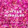 Download track Little Miracles