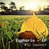 Download track Euphorie V