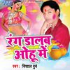 Download track Rangwa Choli Ke Bhitarwa