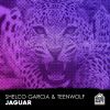 Download track Jaguar (SGxTW Psytrance Edit)