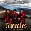 Download track De Lejos Tierras