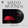 Download track Salted Wounds