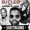 Download track Shayingoma