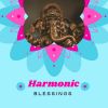 Download track Harmonic Blessings