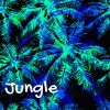 Download track Jungle