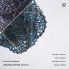 Download track Section Sector (Mad Lucas Remix)