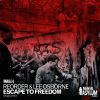 Download track Escape To Freedom Original Mix