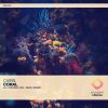 Download track Coral (Emro Remix)