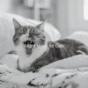 Download track Sleeping Cats (Feelings)