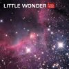 Download track Little Wonder