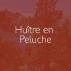 Download track Huître En Peluche