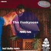 Download track The Funkyness