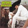 Download track Caballo Gavilan El