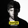 Download track Plastic Smile (Example Vs. Felguk) [Bonus Track]