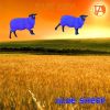 Download track Blue Sheep