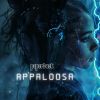 Download track Appaloosa