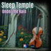 Download track Tranquility Of The Violin