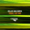 Download track Tribal Culture