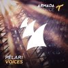 Download track Voices (Original Mix)