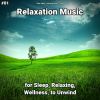 Download track Relaxation Music Pt. 89