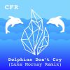 Download track Dolphins Don't Cry (Luke Mornay Edit)