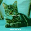 Download track Joyful (Sleeping Cats)