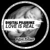 Download track Love Is Real (DIGITAL PILGRIMZ Jungle Remix)