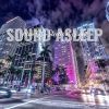 Download track Alive City Streets At Night, Pt. 15