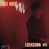 Download track Lockdown NYC (City Escape Remix By Kontravoid)