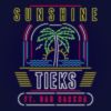 Download track Sunshine (Extended Mix)