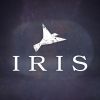 Download track Iris