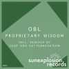 Download track Proprietary Wisdom (Cusp Remix)